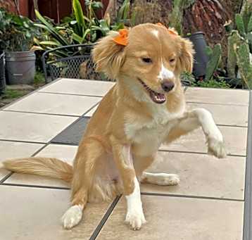 Photo of Katty