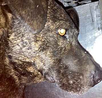 Photo of MATILDA