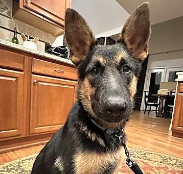Photo of Kaiden