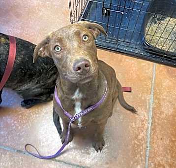 Photo of Hershey
