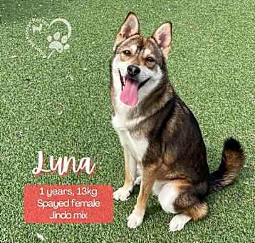 Photo of luna
