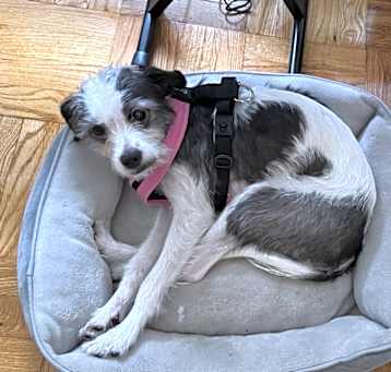 Photo of Jelly