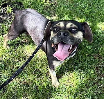 Photo of Roxy