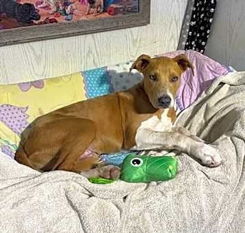 Photo of Cecil