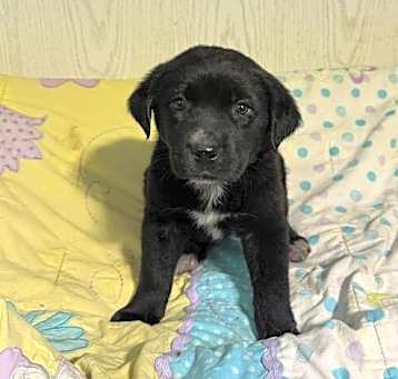 Photo of Macy