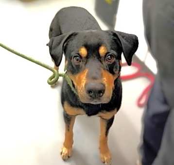 Photo of Flynn