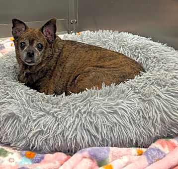 Photo of Kali