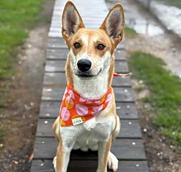 Photo of Winnie