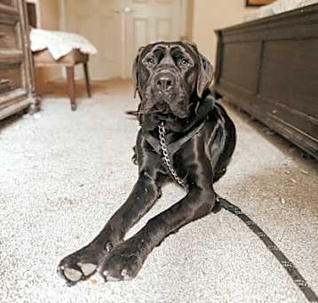 Photo of Koopa @ Foster *Sponsored