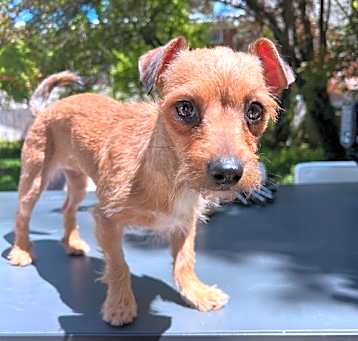 Photo of Greta
