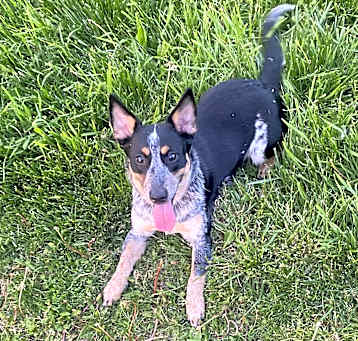 Photo of Wilma