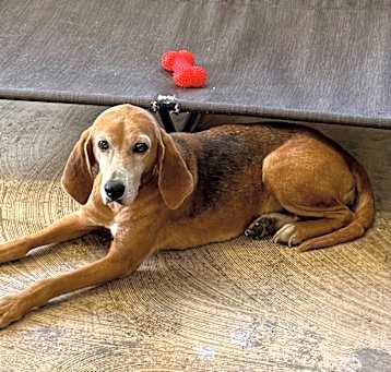 Photo of Ernestine