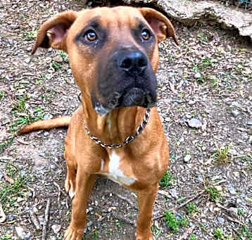 Photo of Mocha