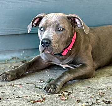 Photo of Hazel