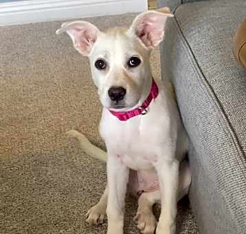 Photo of Lilah