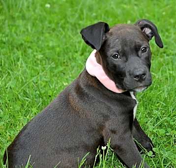 Photo of Baby Nellie