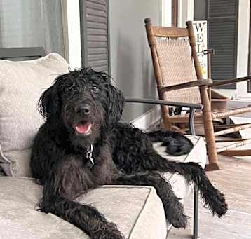 Photo of Winnie