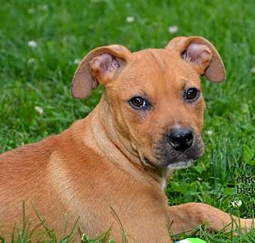 Photo of Baby Nikki