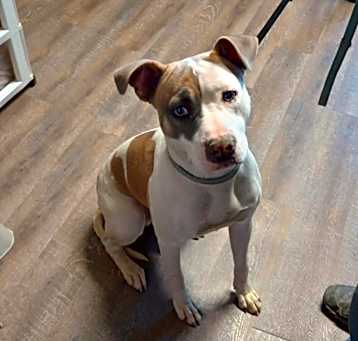 Photo of Zeus