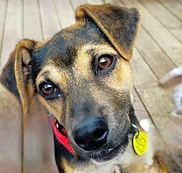 Photo of Ruckus