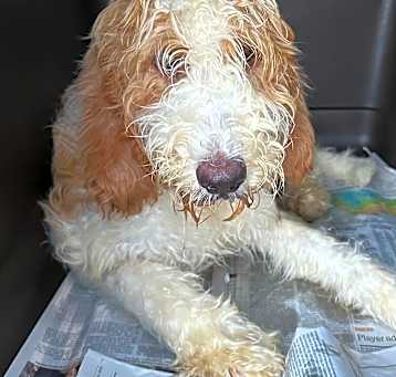 Photo of Eleanor