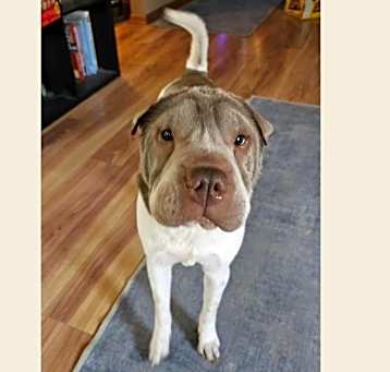 Photo of Matilda 