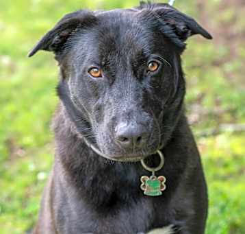 Photo of ZEUS-27866
