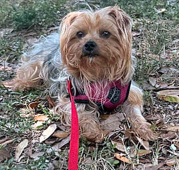 Photo of Cupid 8842