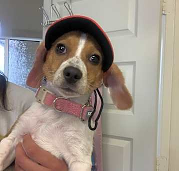 Photo of Missy