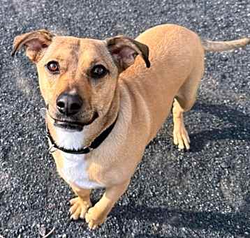 Photo of Oliver