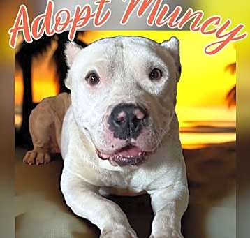 Photo of Muncy