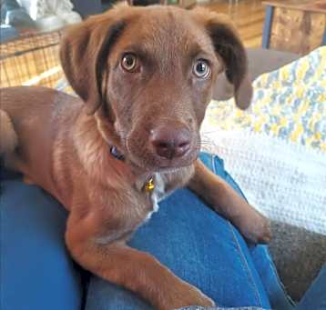 Photo of Duke