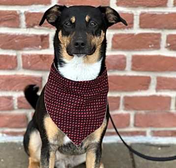 Photo of Kaiser