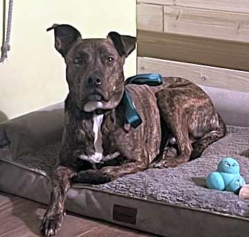 Photo of Leroy