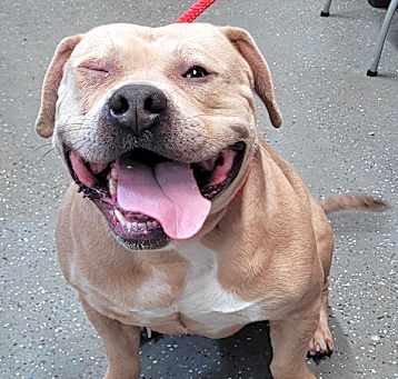 Photo of Jelly Roll
