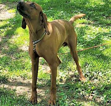 Photo of Ralph