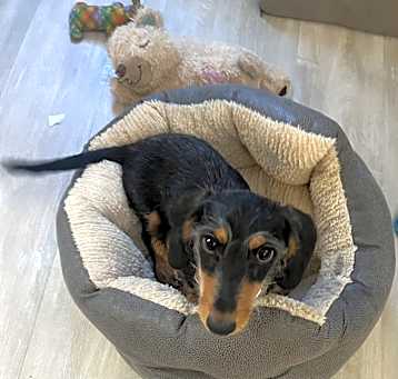 Photo of Franklin