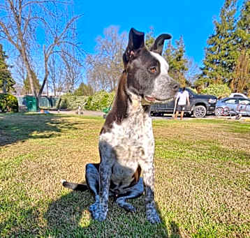 Photo of Rocket
