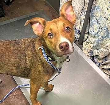 Photo of Ollie A.
