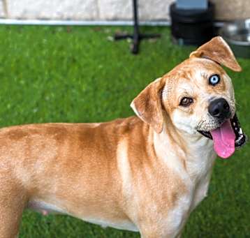Photo of Furiosa
