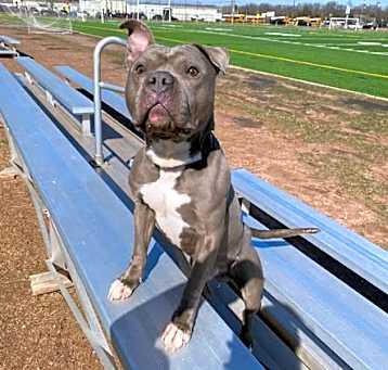 Photo of Jax