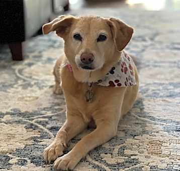 Photo of Daisy Mae