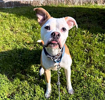 Photo of Tooty
