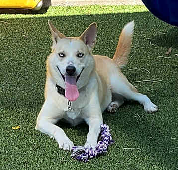 Photo of Tara