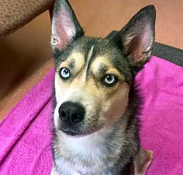 Photo of Sakari