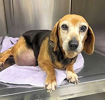 Photo of Charity