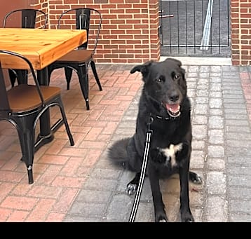 Photo of Digger