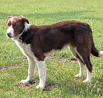 Photo of Nutmeg