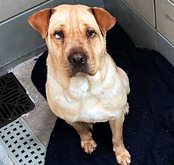 Photo of BETTY