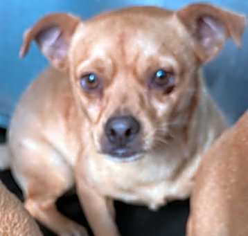 Photo of MURPHEY